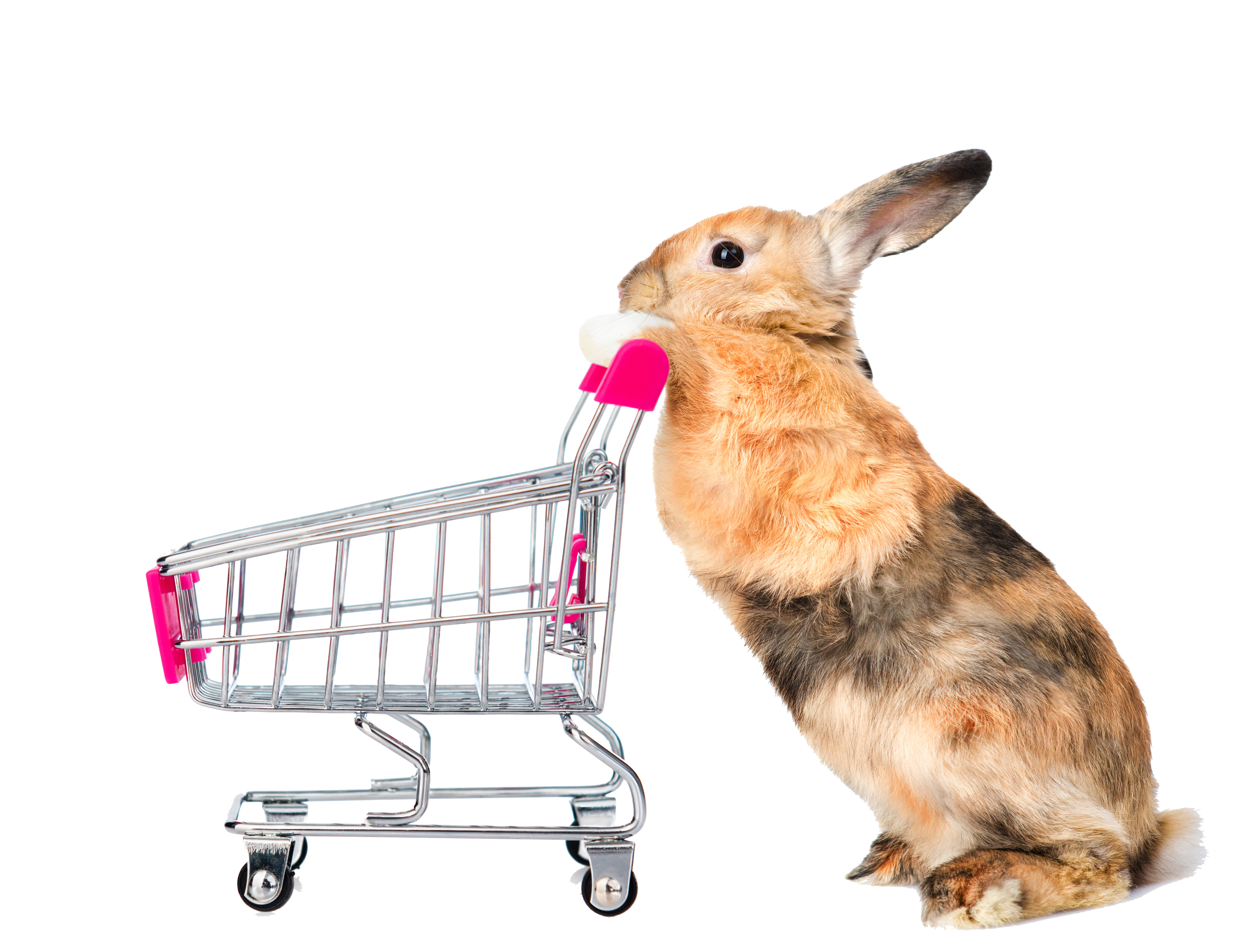 Cart